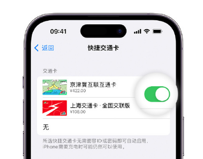 英德apple维修点分享iPhone上更换Apple Pay快捷交通卡手绘卡面 