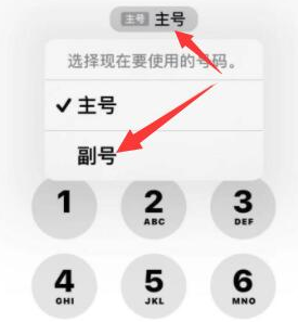 英德苹果14维修店分享iPhone 14 Pro Max使用副卡打电话的方法 