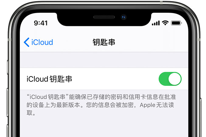 英德苹果手机维修分享在 iPhone 上开启 iCloud 钥匙串之后会储存哪些信息 