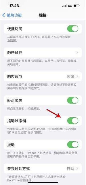 英德苹果手机维修分享iPhone手机如何设置摇一摇删除文字 