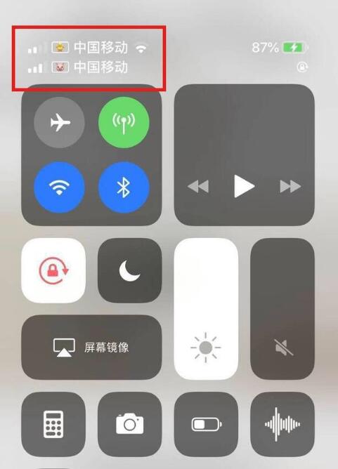 英德苹果手机维修分享为 iPhone 12 双卡设置标签 